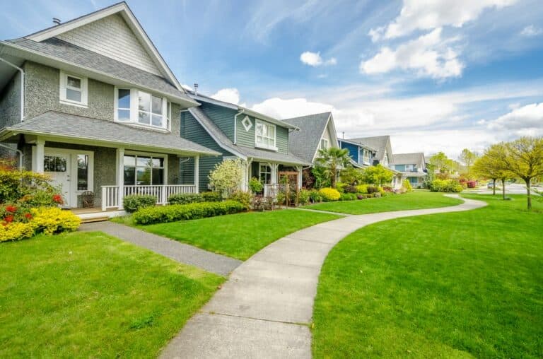 Aurora Grove
